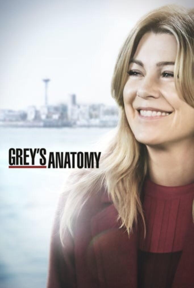 Anatomia De Grey Temporada 18 Capitulo 16