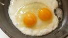 Comer un huevo al día no está asociado con el riesgo de enfermedad cardiovascular