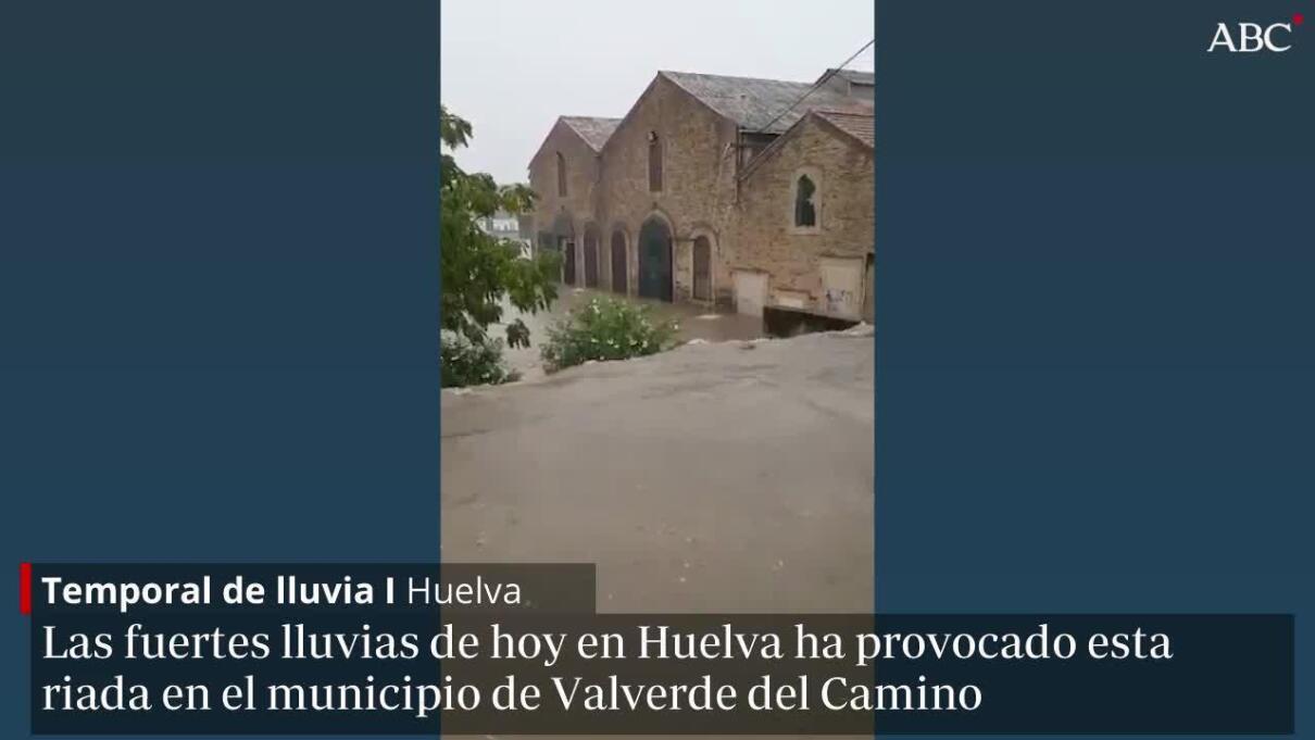 Donde Conocer Chicos De Sevilla La Nueva