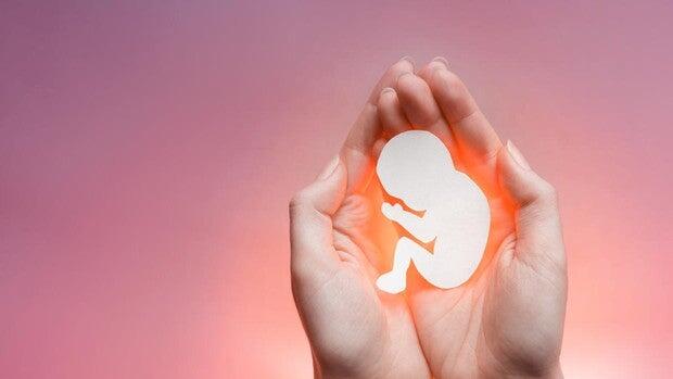 Noticias de Aborto - ABC.es